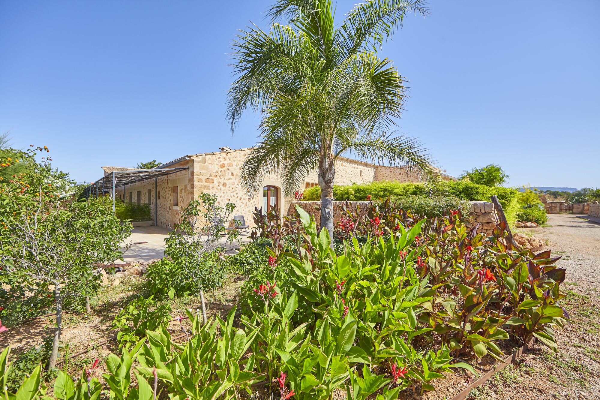 Фото Bennoc Petit Hotel