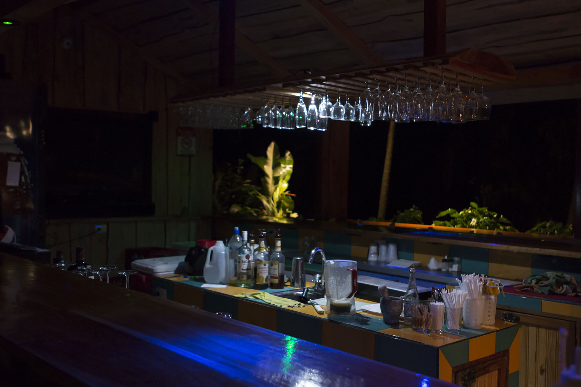 Фото Ara Ambigua Lodge