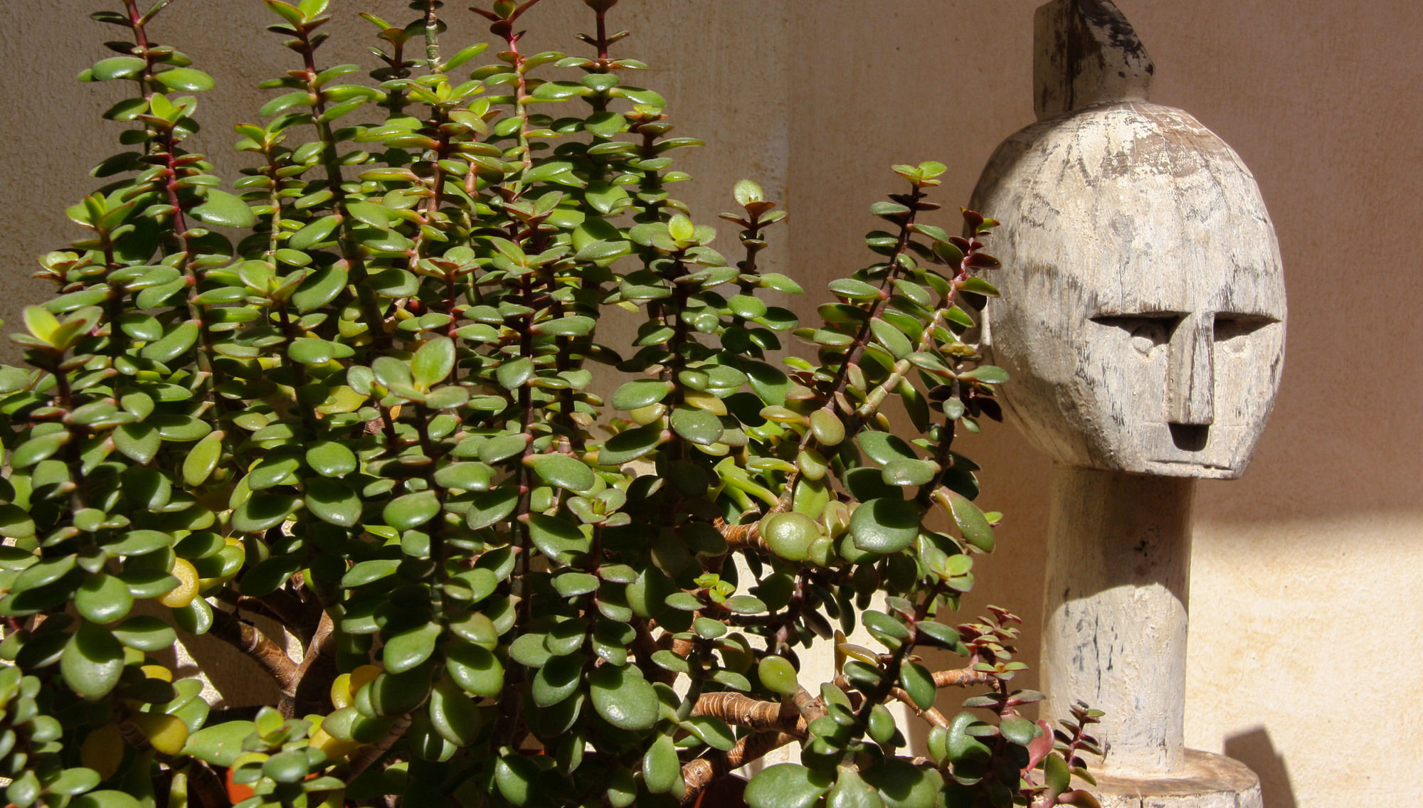 Фото Отель Room Tarifa