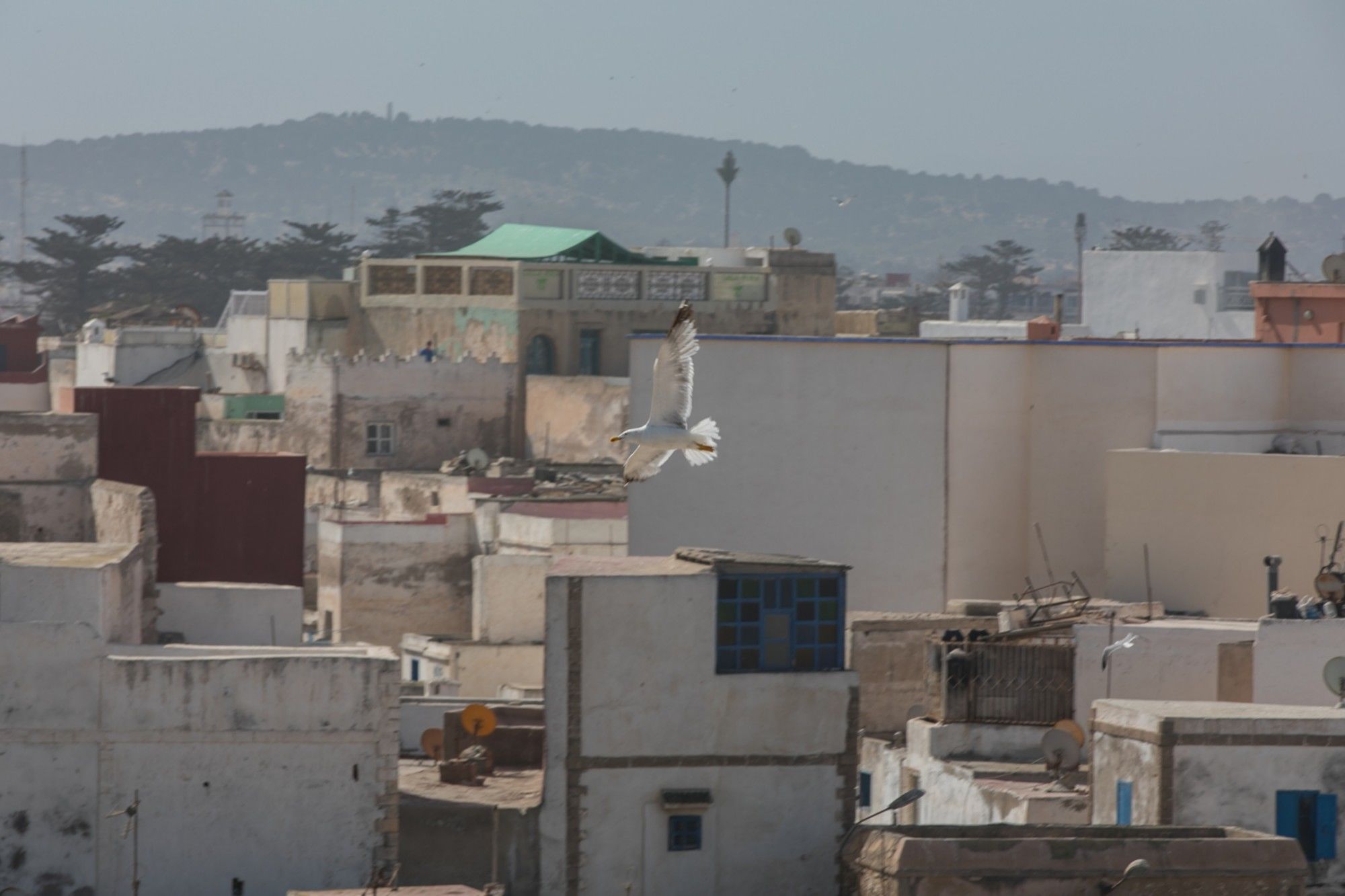 Фото Dar Rahaothello