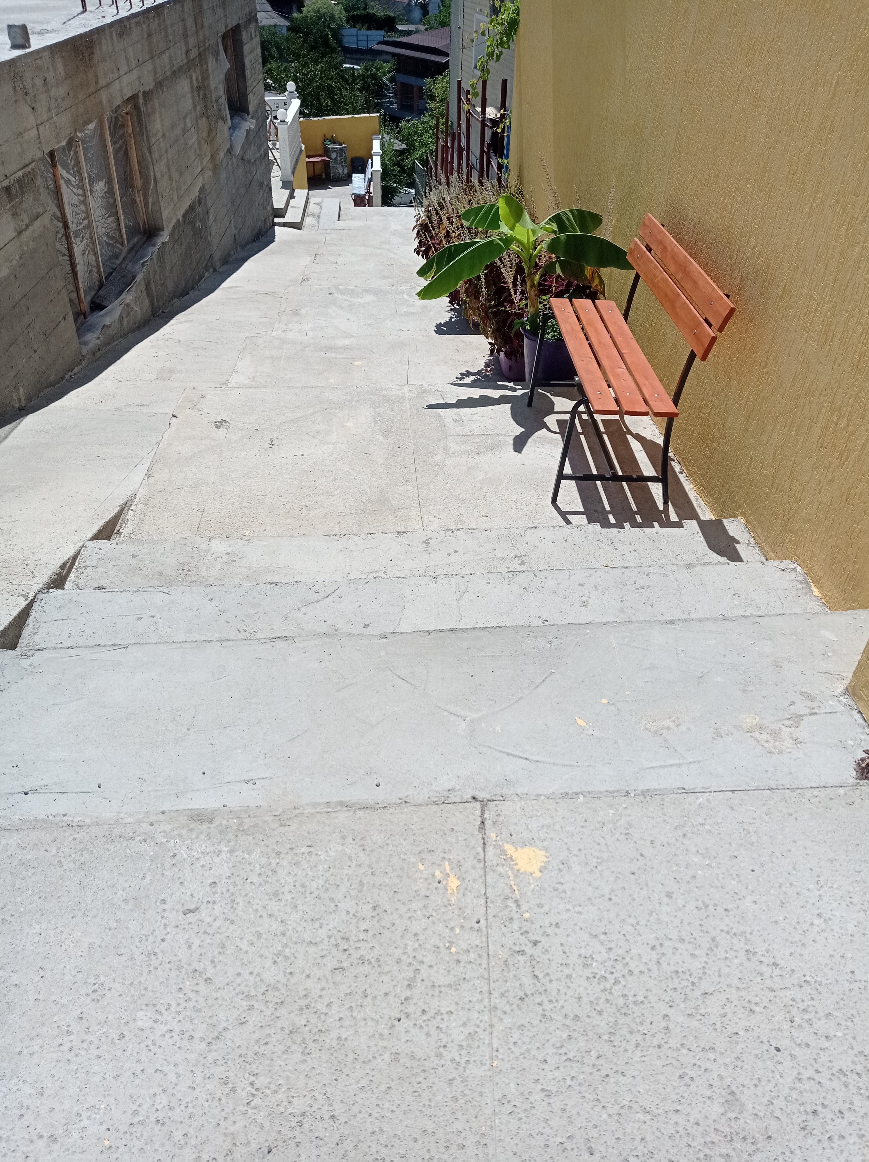 Фото Встреча