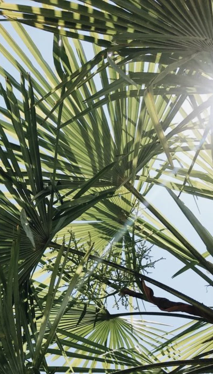 Фото Солнце Город