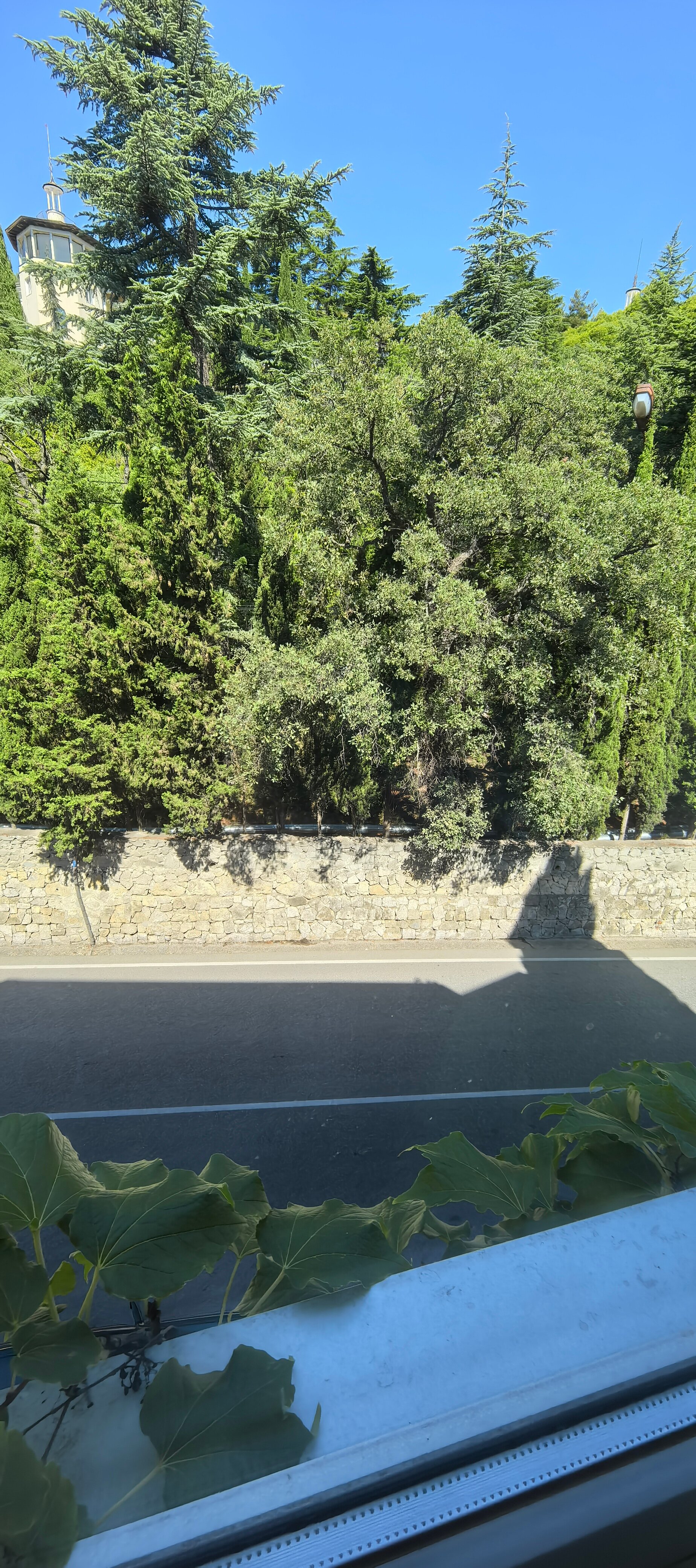 Фото Kiparis Inn