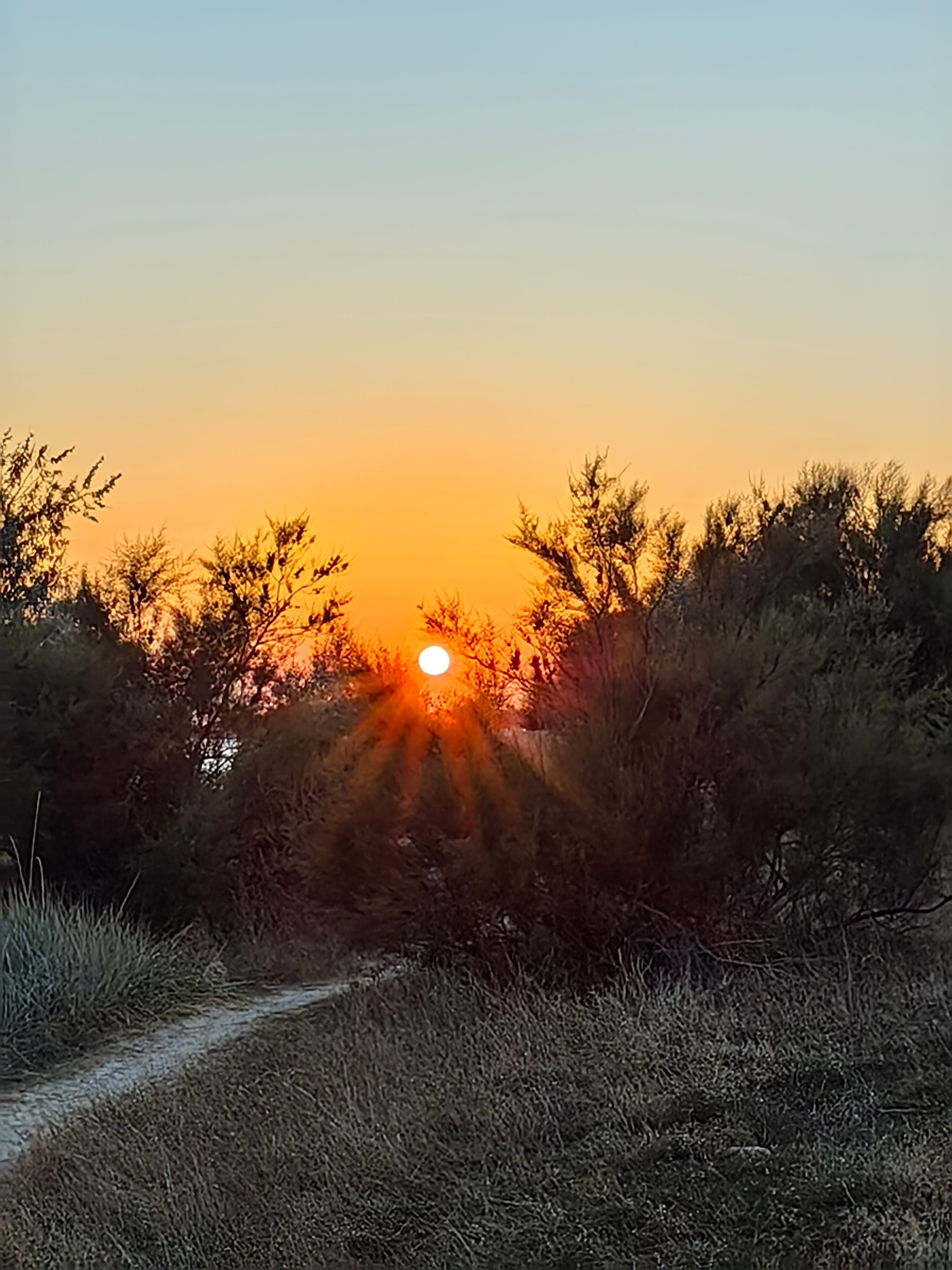 Фото Вилла Счастья