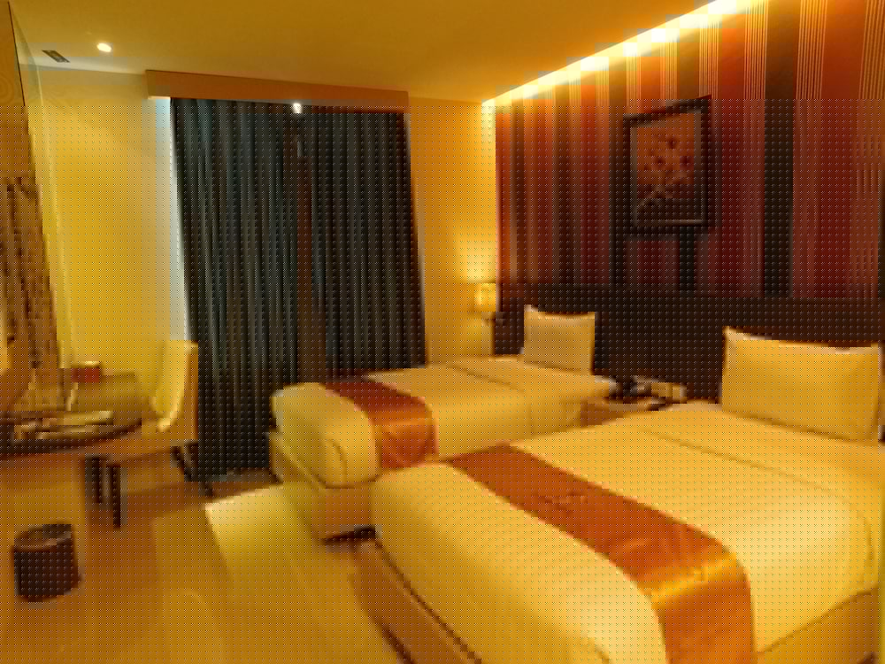 Фото The Safin Hotel Pati