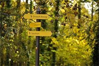 Фото Hotel du Parc