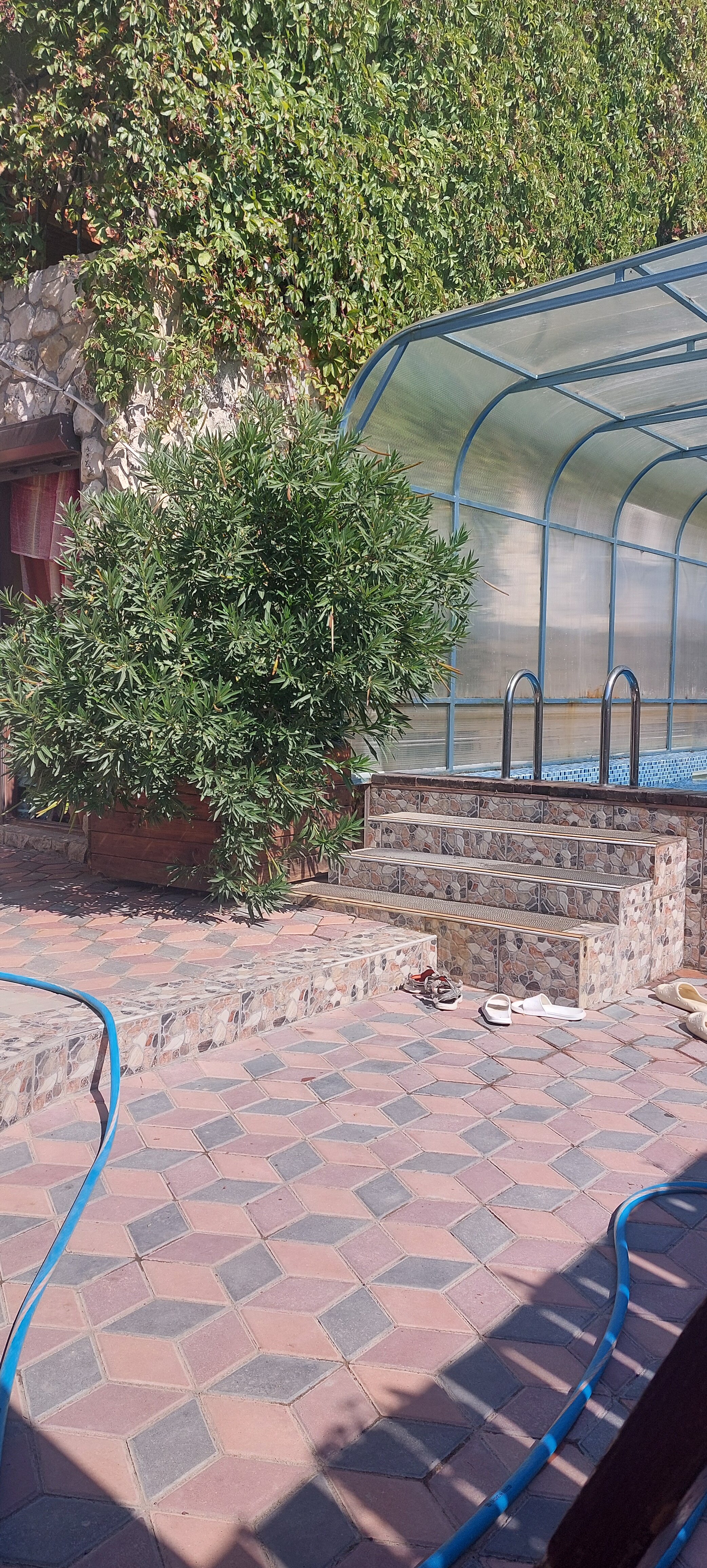 Фото Сапсан