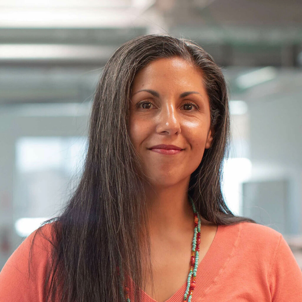 Telecommunication company SMS Showcase - Bulk SMS, Izmir, photo