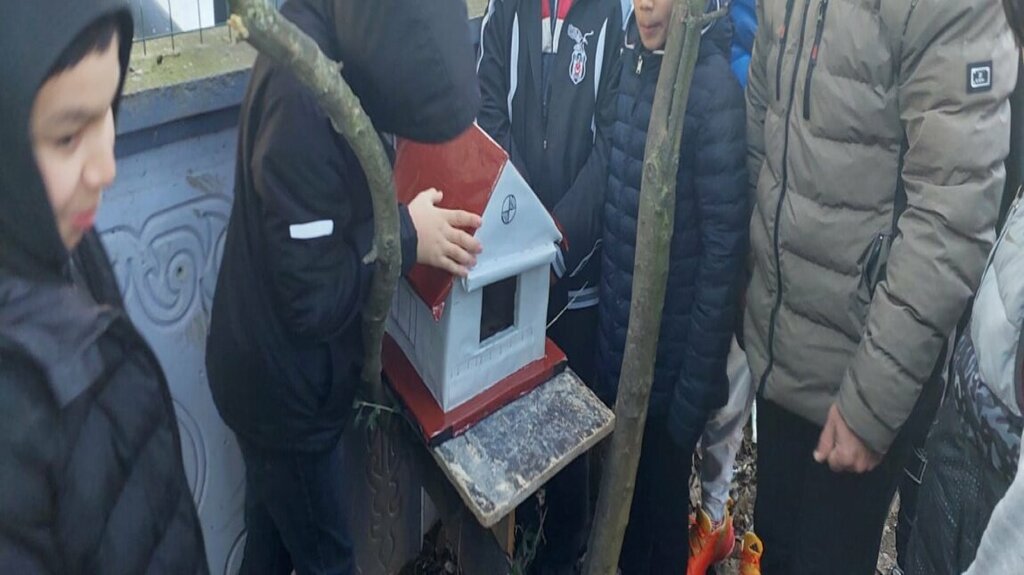 School Fatmahanim School, Pamukova, photo