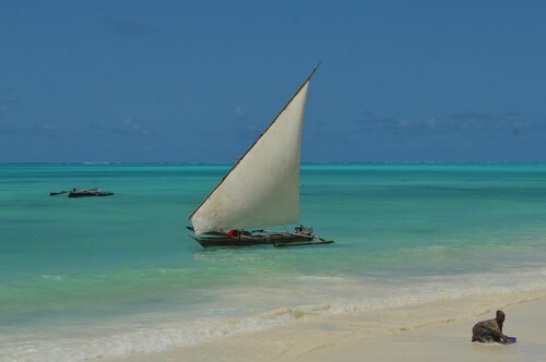 Гостиница Zanzibar Dream Lodge