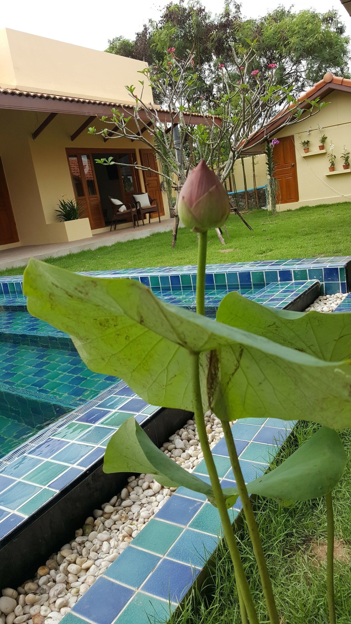 Фото Taratai Villa