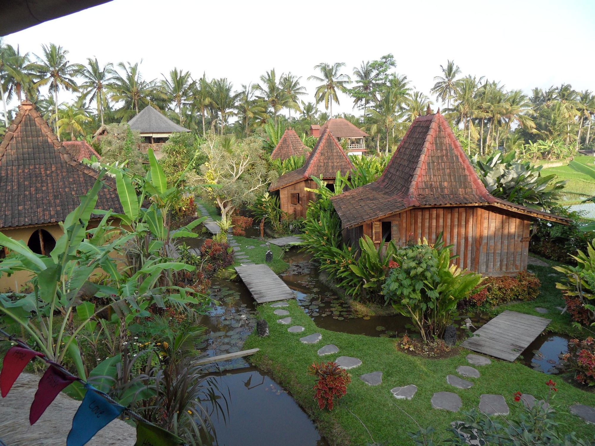 Фото Dragonfly Village