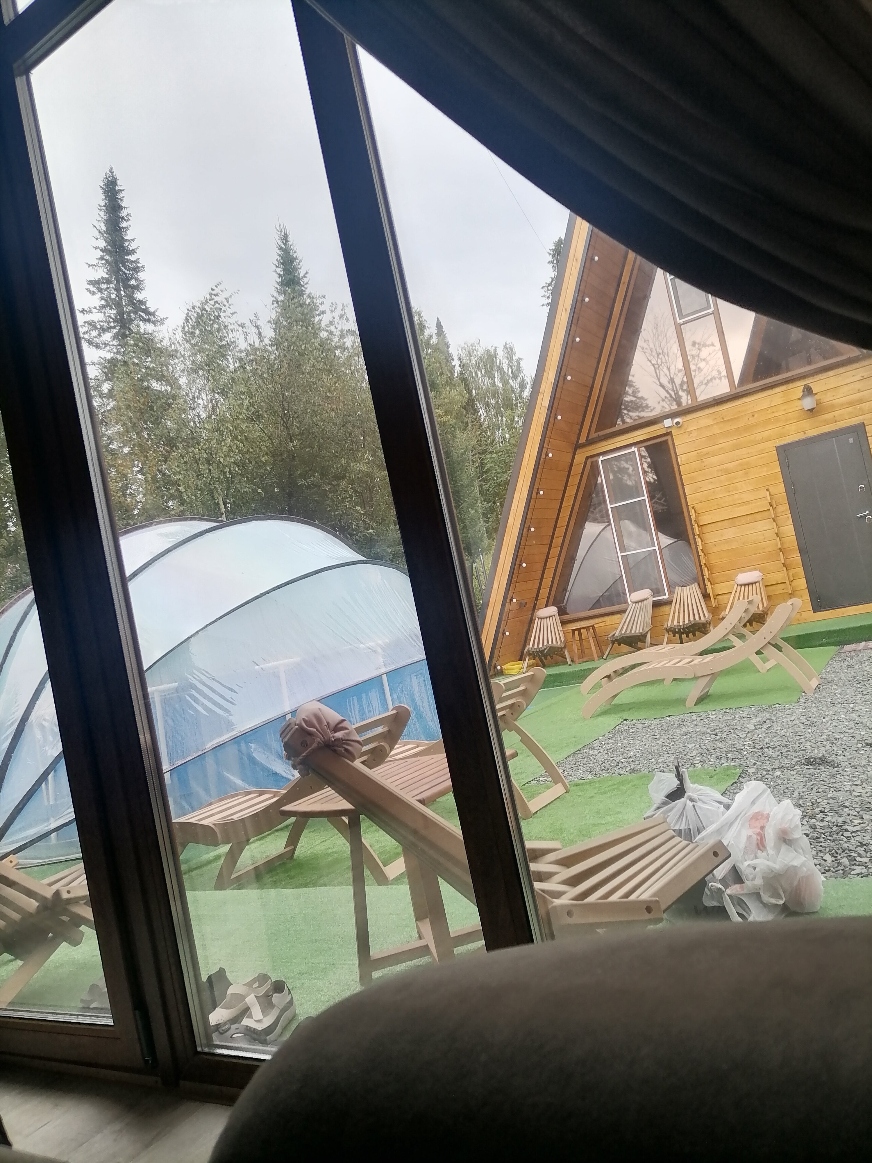 Фото Снежная сова