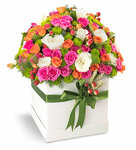 Alaçatı Çiçekçi Dükkanı (İzmir, Cesme District, 5065 Sok., 29), flower shop