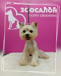 Fanny grooming (Svobody Street, 61к1), pet salon