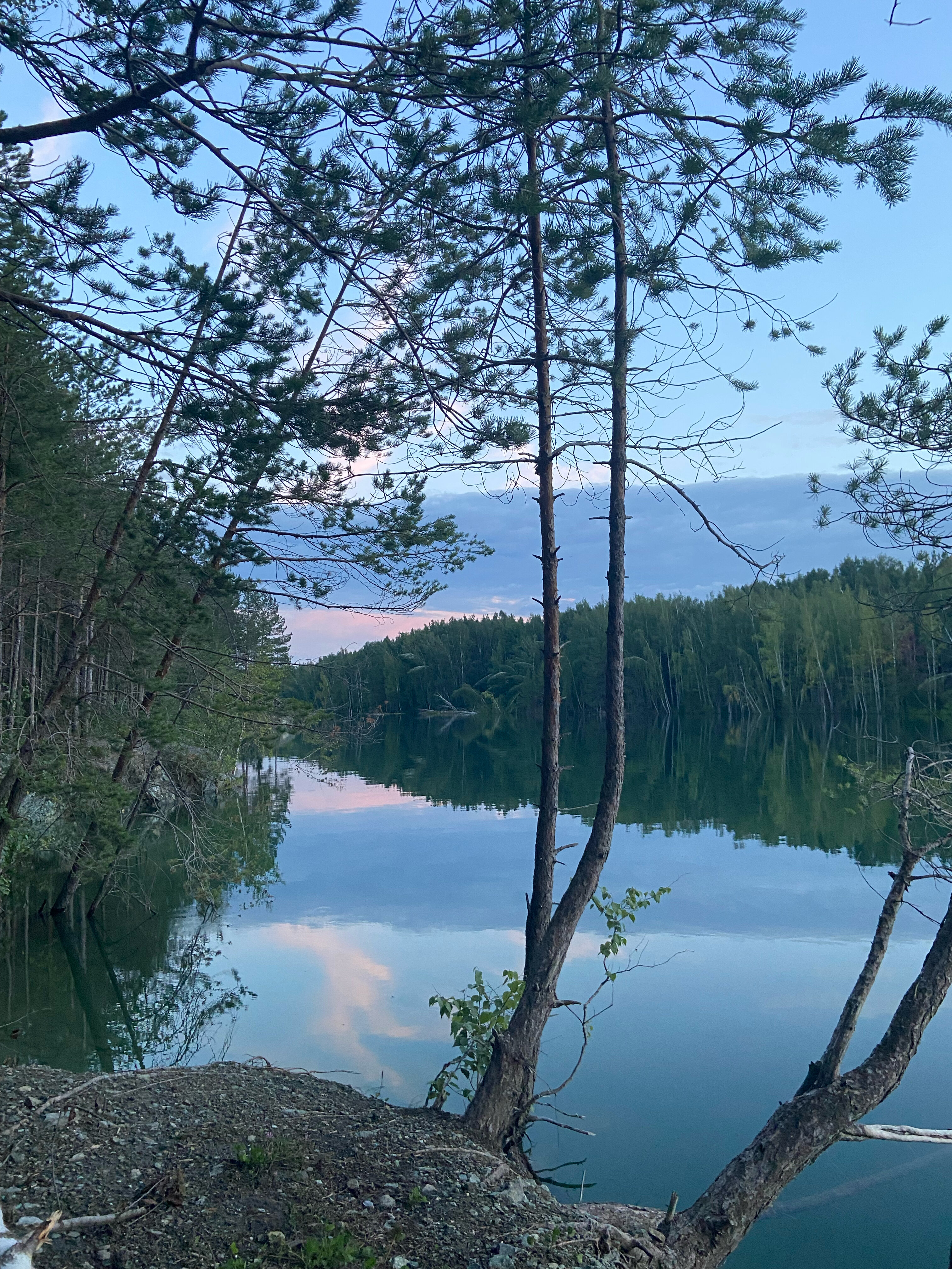 Фото Forest tale