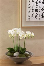 Фото Four Points by Sheraton Seoul, Guro