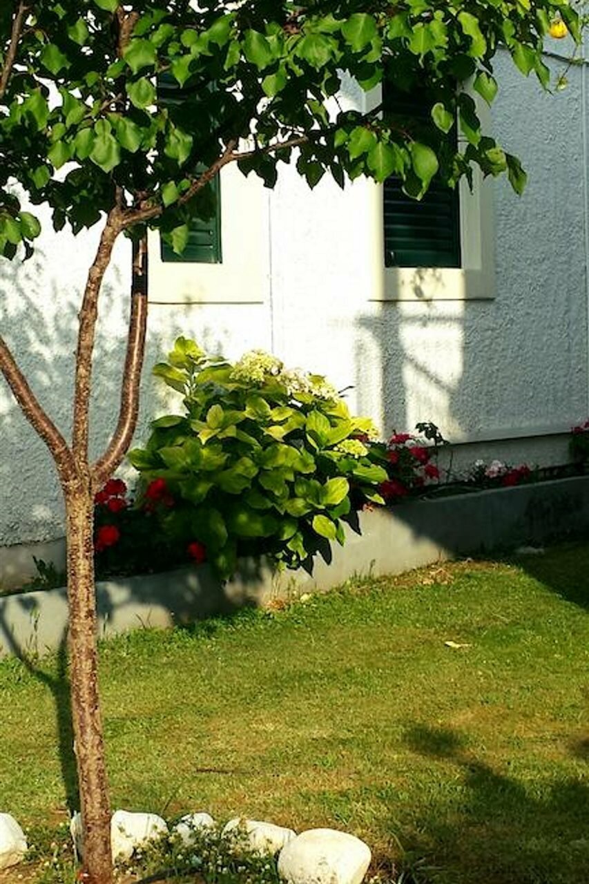 Фото Corifo Village