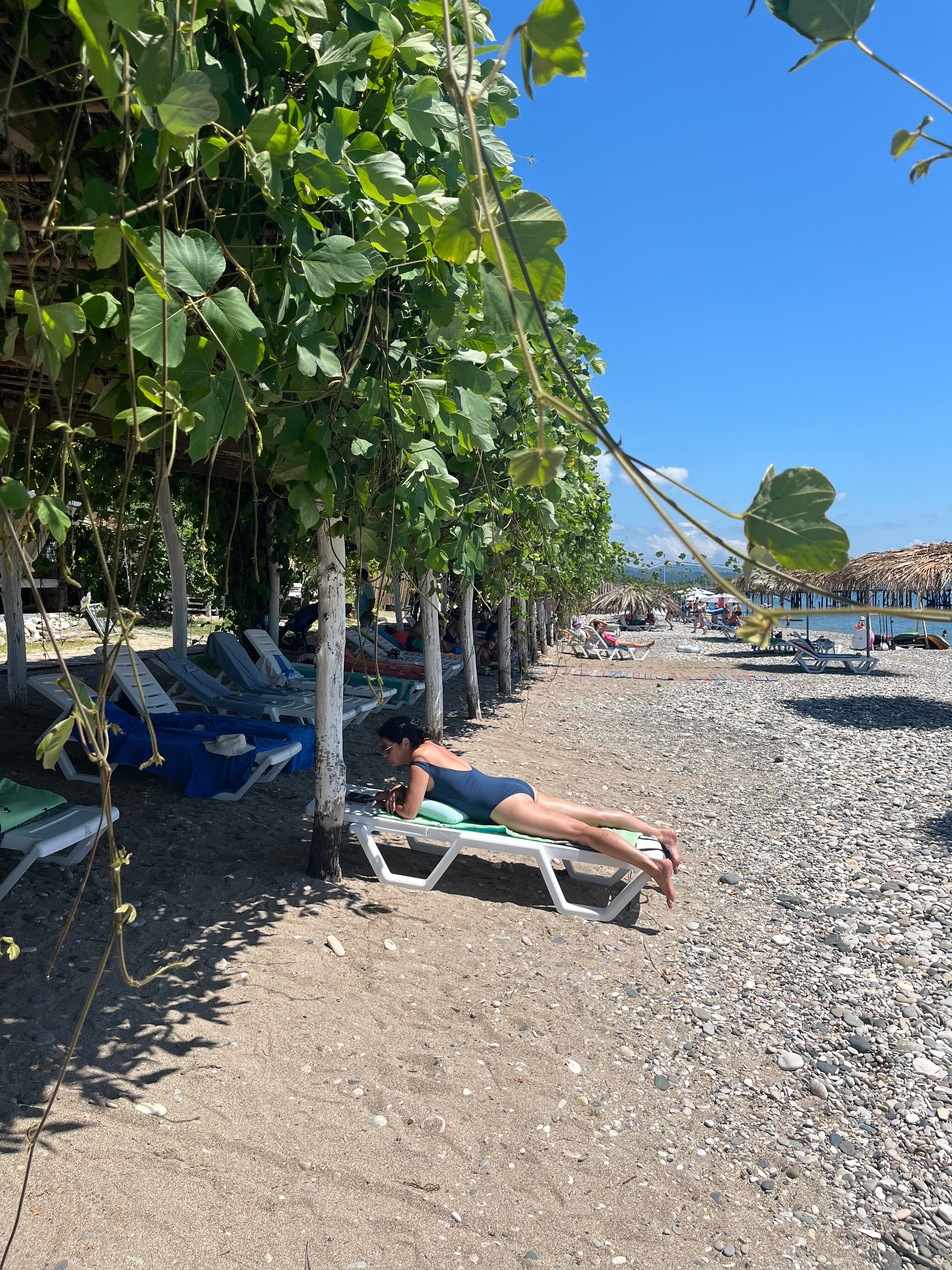 Фото Царская аллея