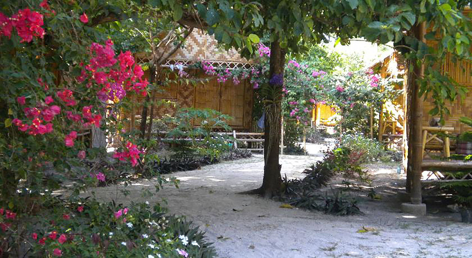 Фото Green View Beach Resort