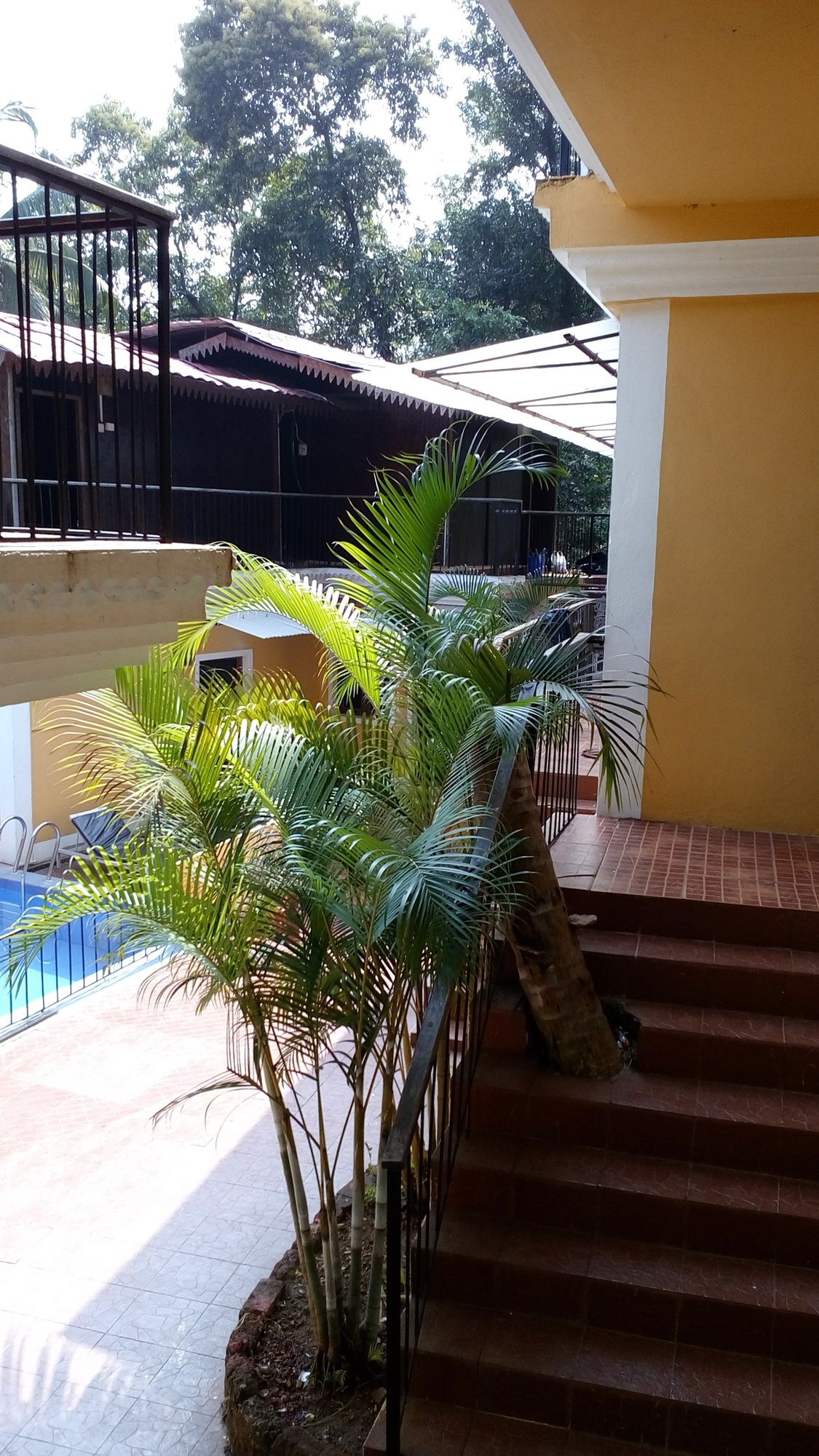 Фото Castle House Palolem