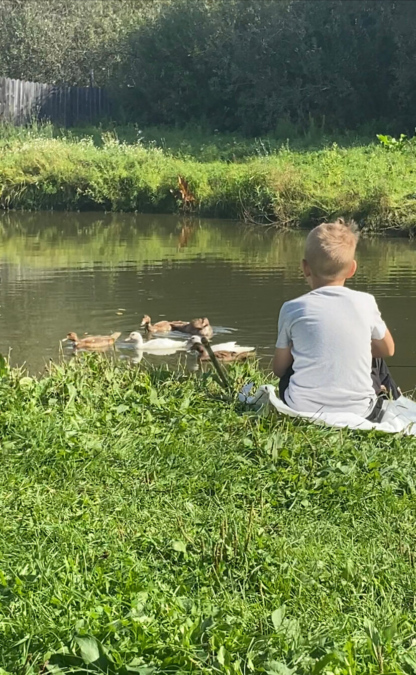 Фото Медная Сова