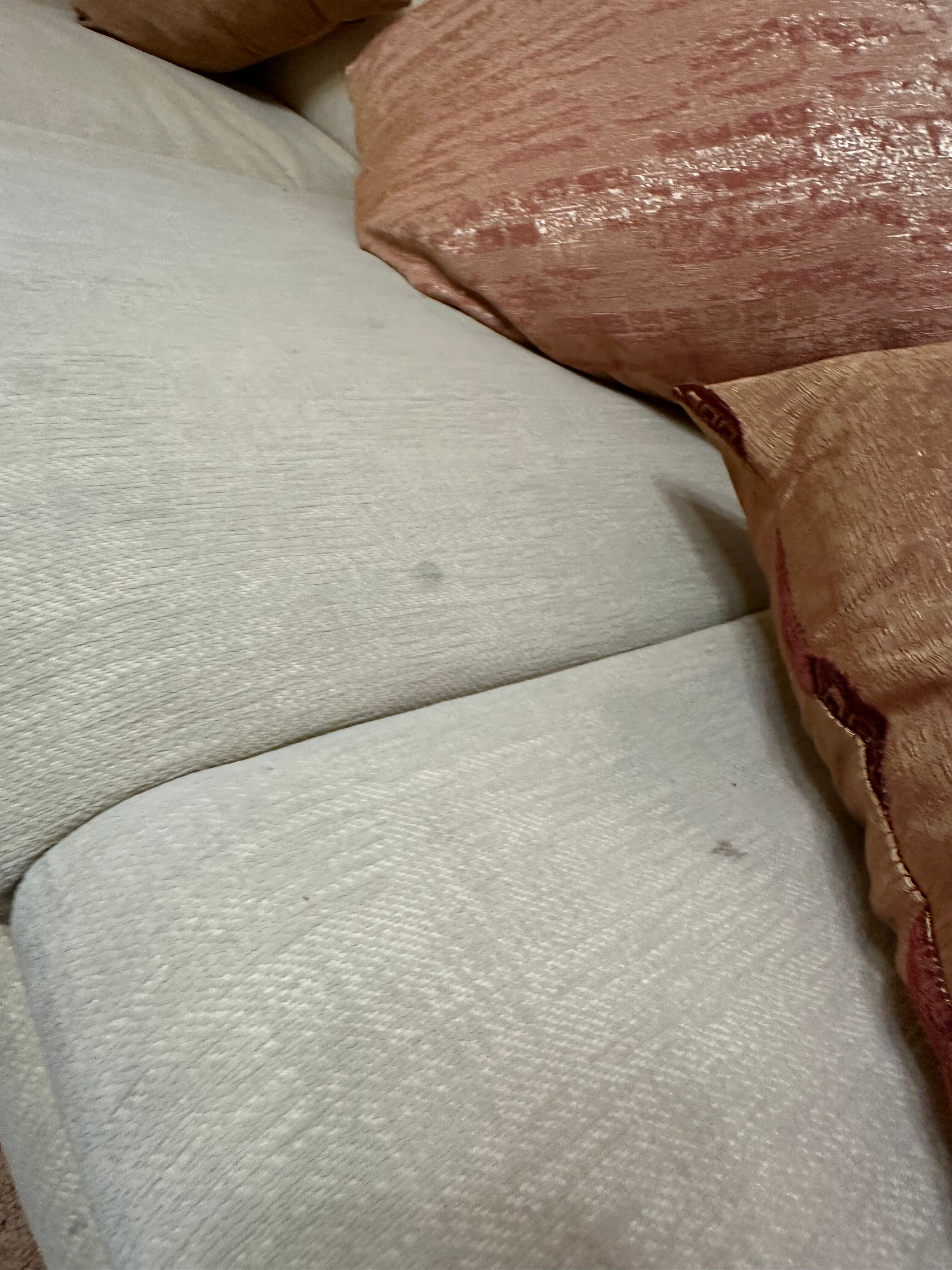 Фото Светлица