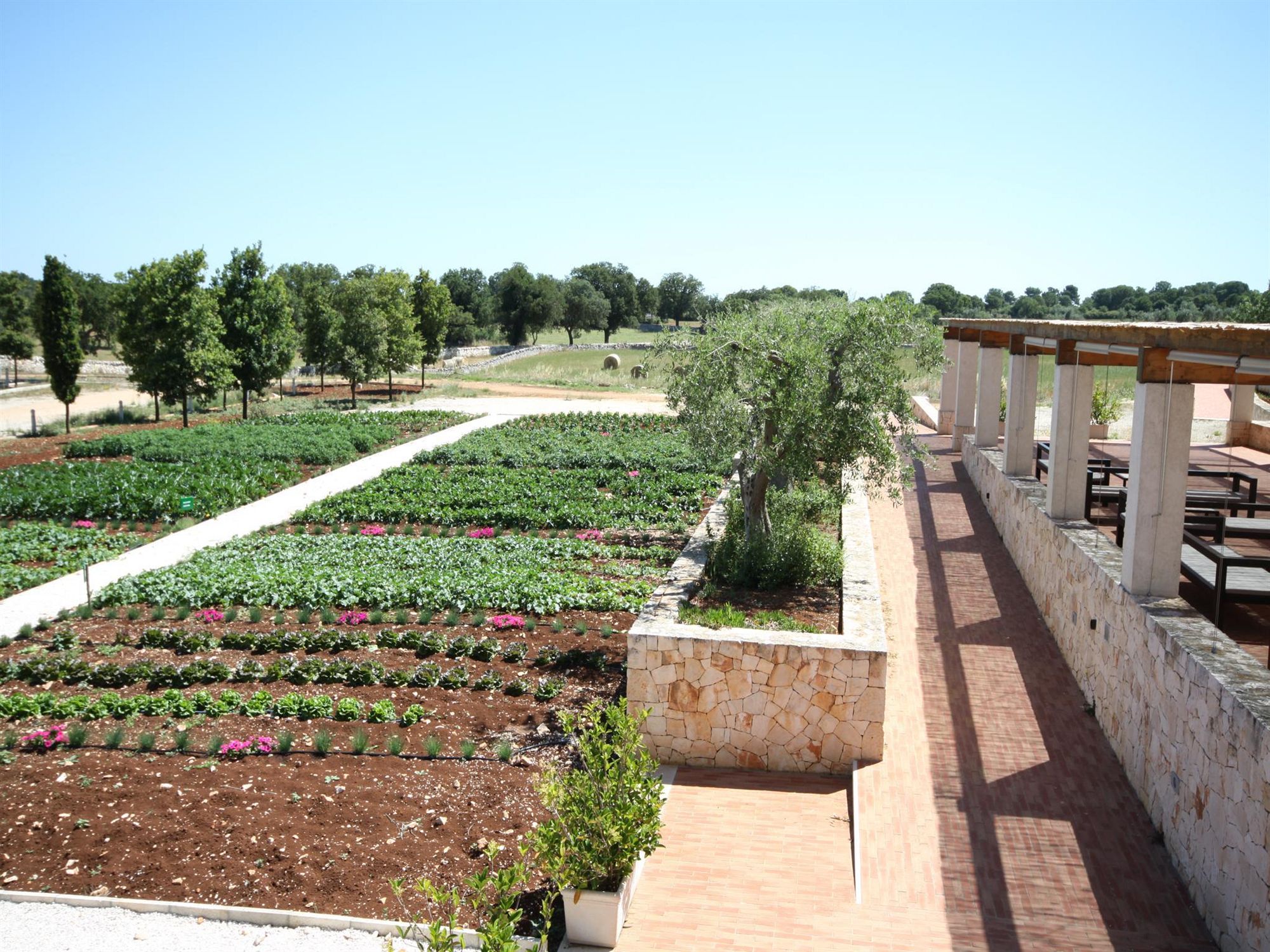 Фото Victor Country Hotel