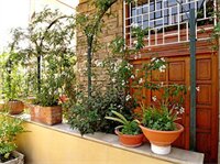 Фото Hotel Nova Domus Aurelia