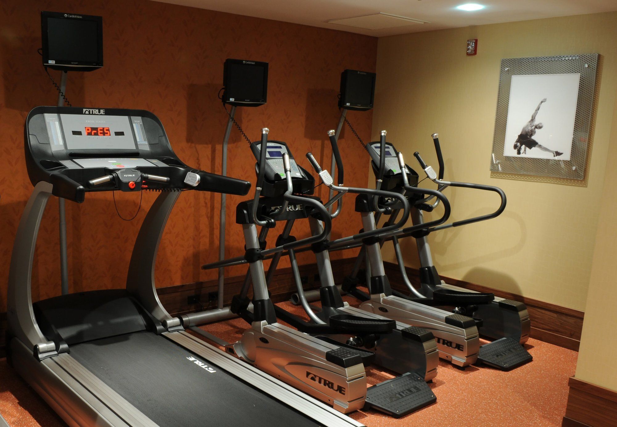 Фото Fairfield Inn & Suites by Marriott Albany Airport