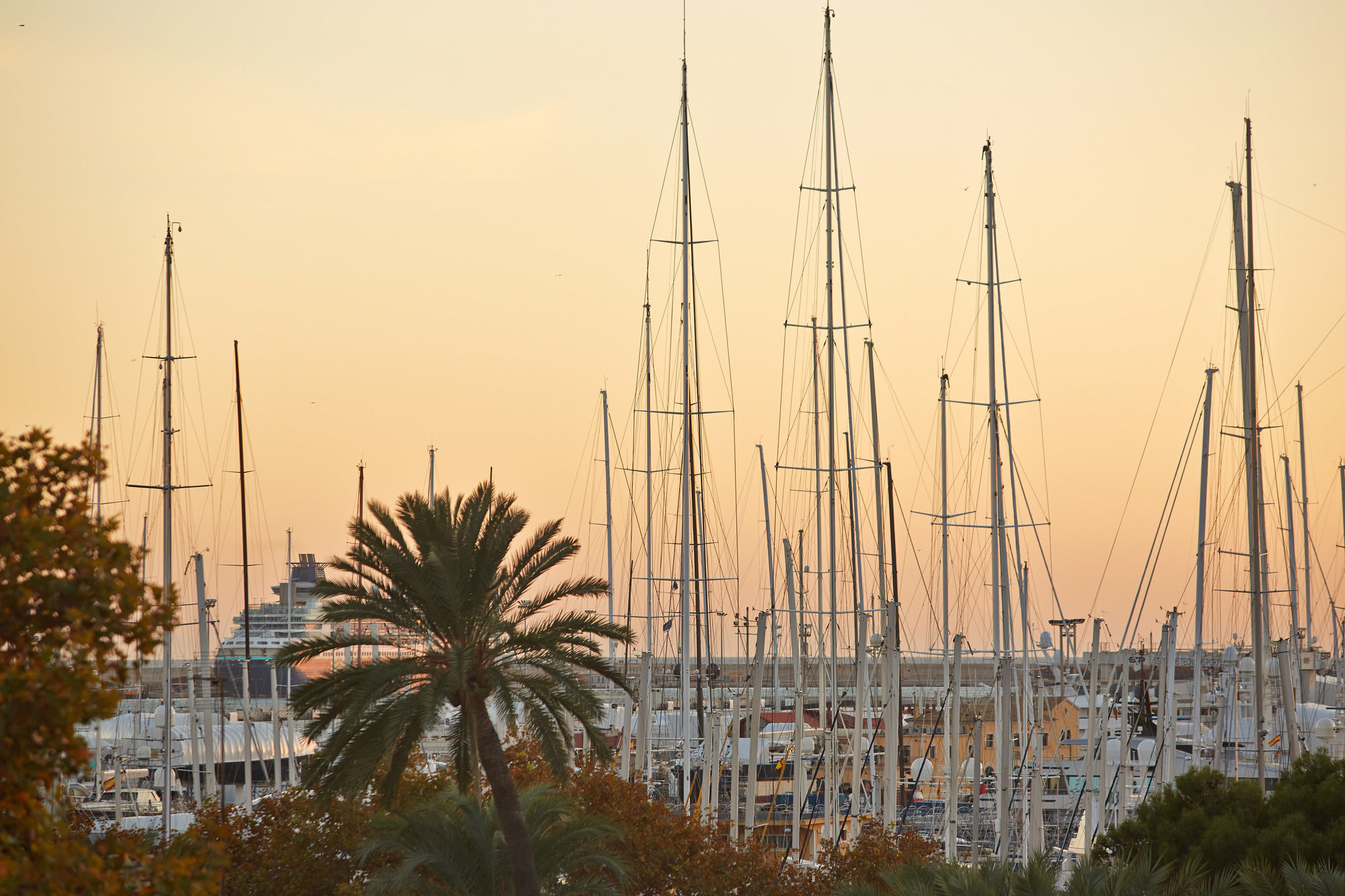 Фото Hotel Palau Sa Font