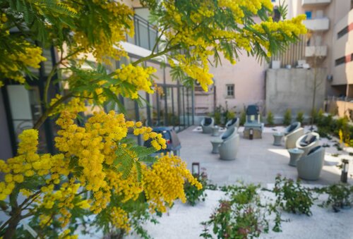 Гостиница Best Western Hotel Journel Saint-Laurent-du-Var в Сене-Лоране-дю-Варе