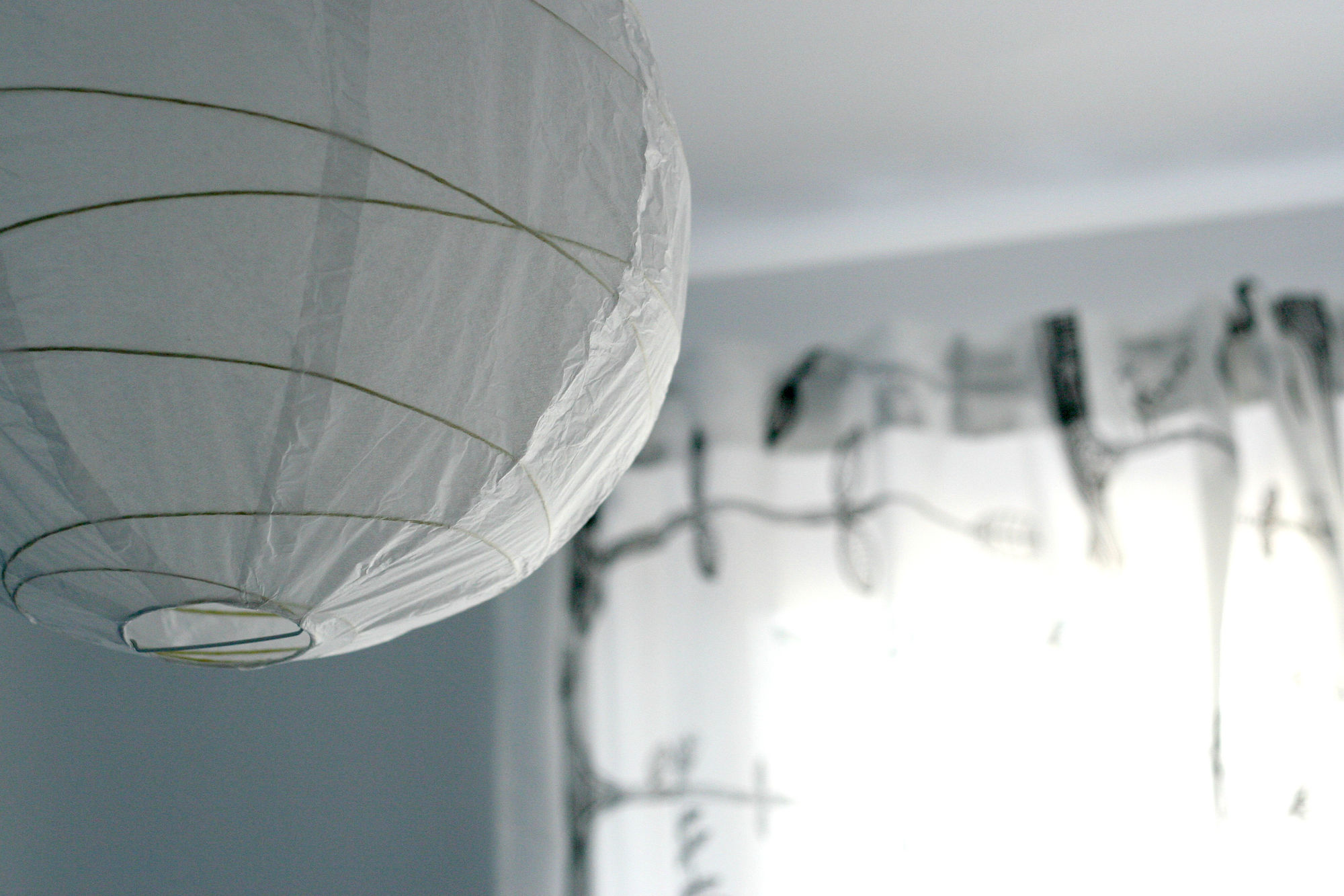 Фото Safestay Athens Hotel