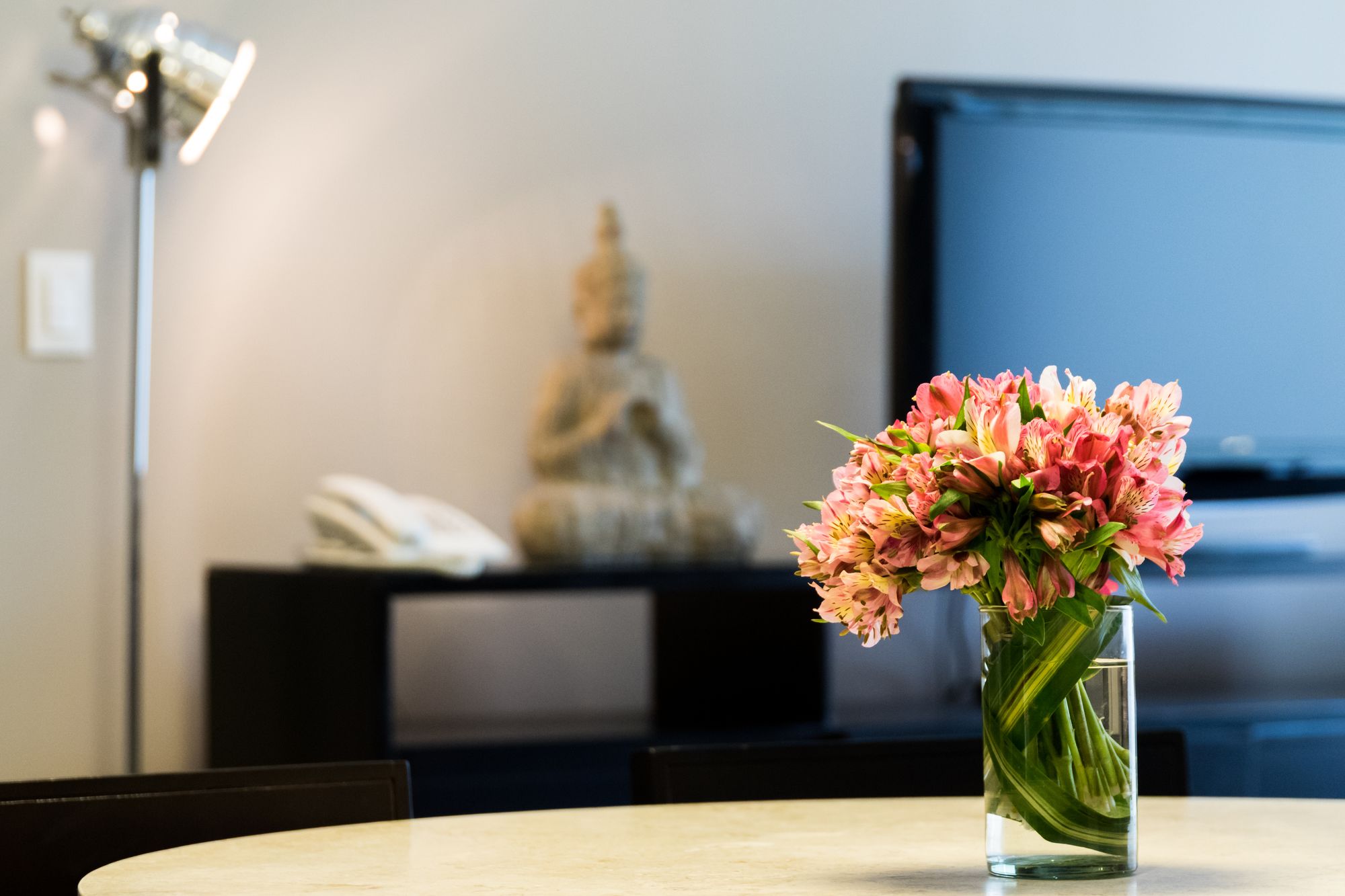 Фото Ventura Hotel & Suites by Dominion