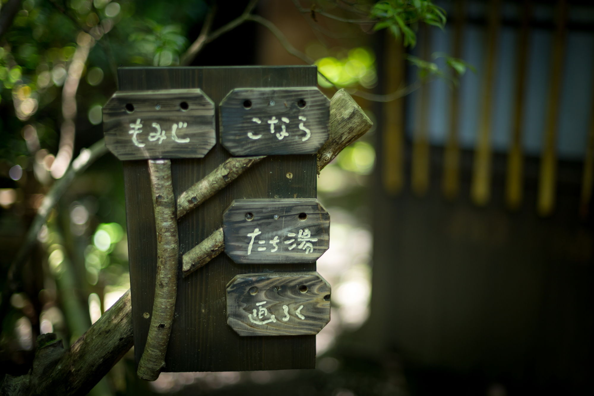 Фото Kurokawa Onsen Oyado Noshiyu
