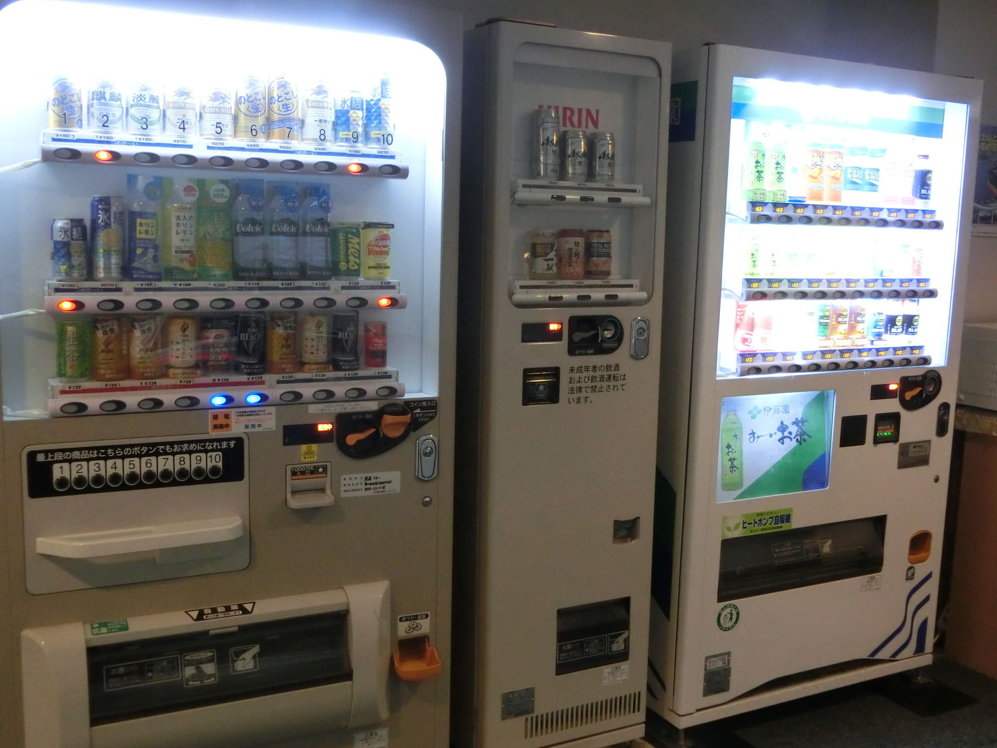 Фото Resort Inn Fuyo Kawaguchiko Inter store