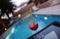 Фото Villa Franica