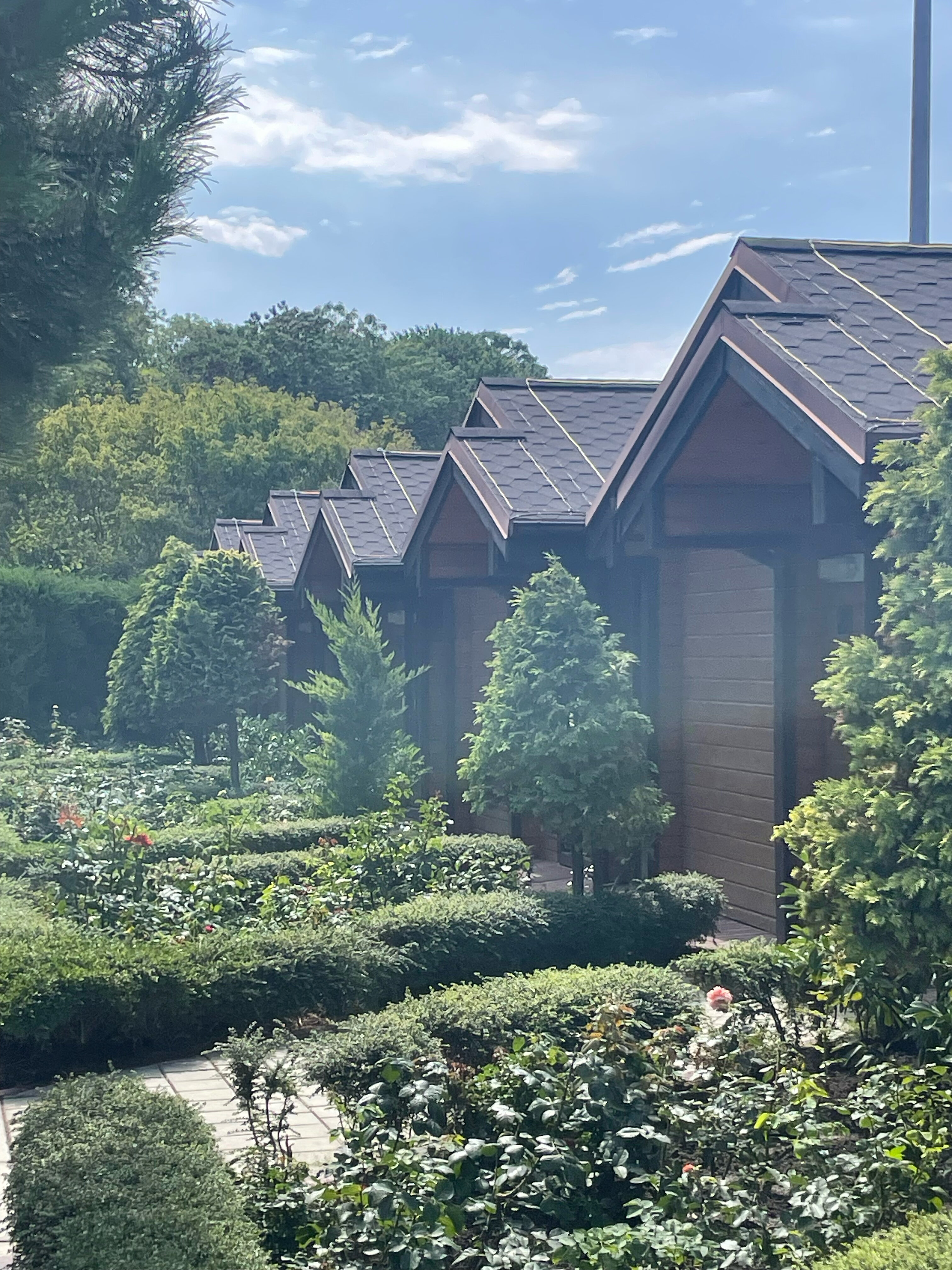 Фото Золотая бухта