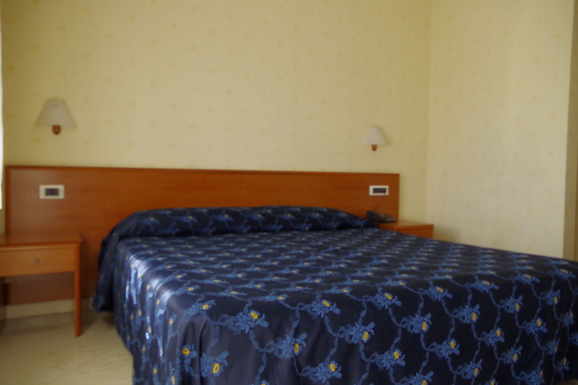 Фото Hotel Kroma