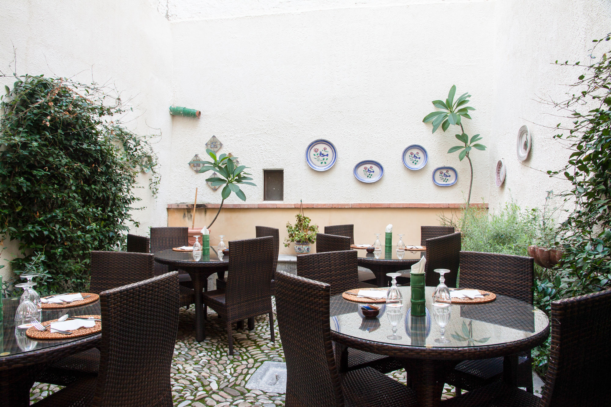 Фото Hotel La Plumeria