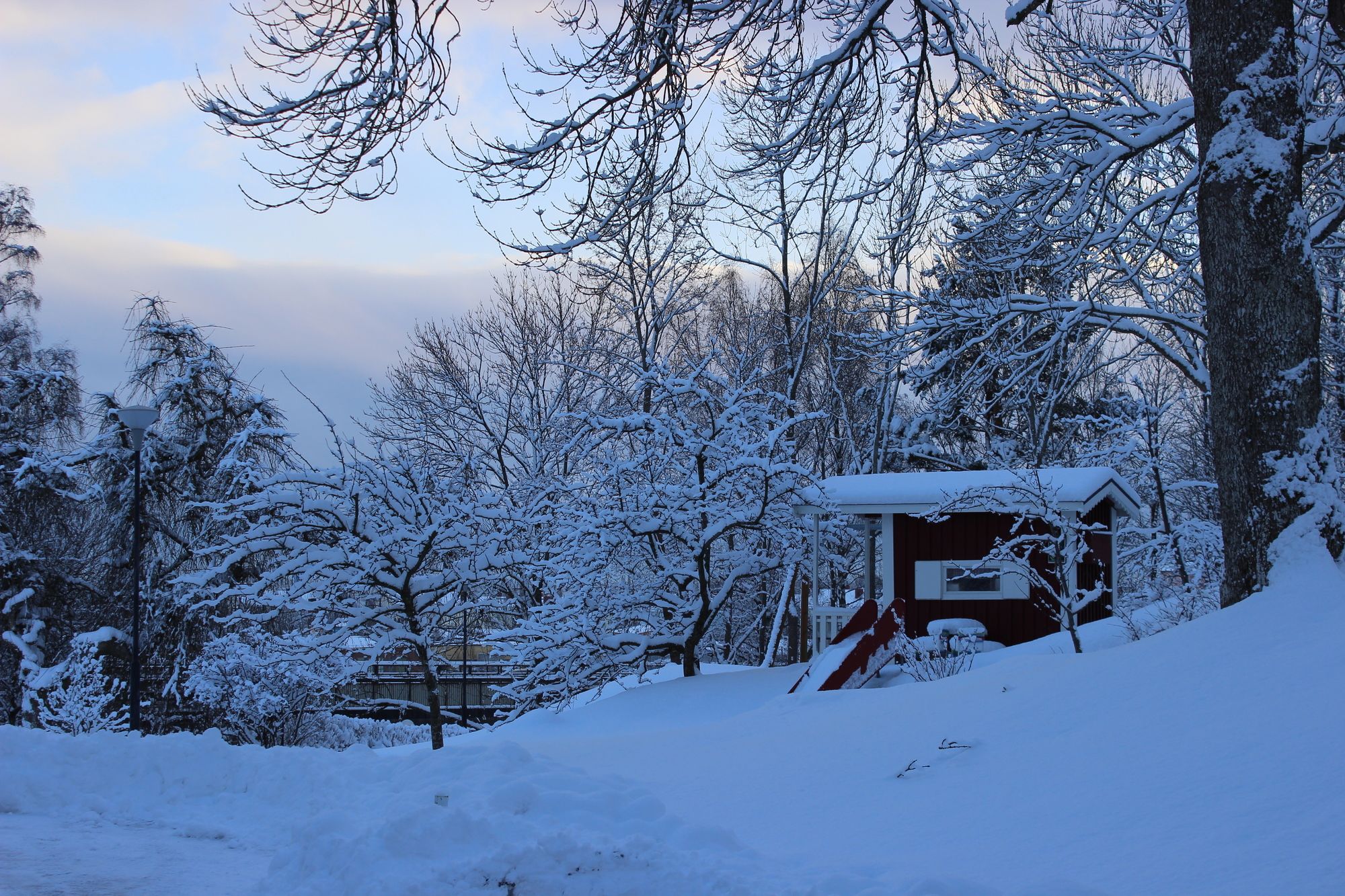 Фото Blommenhof Hotel