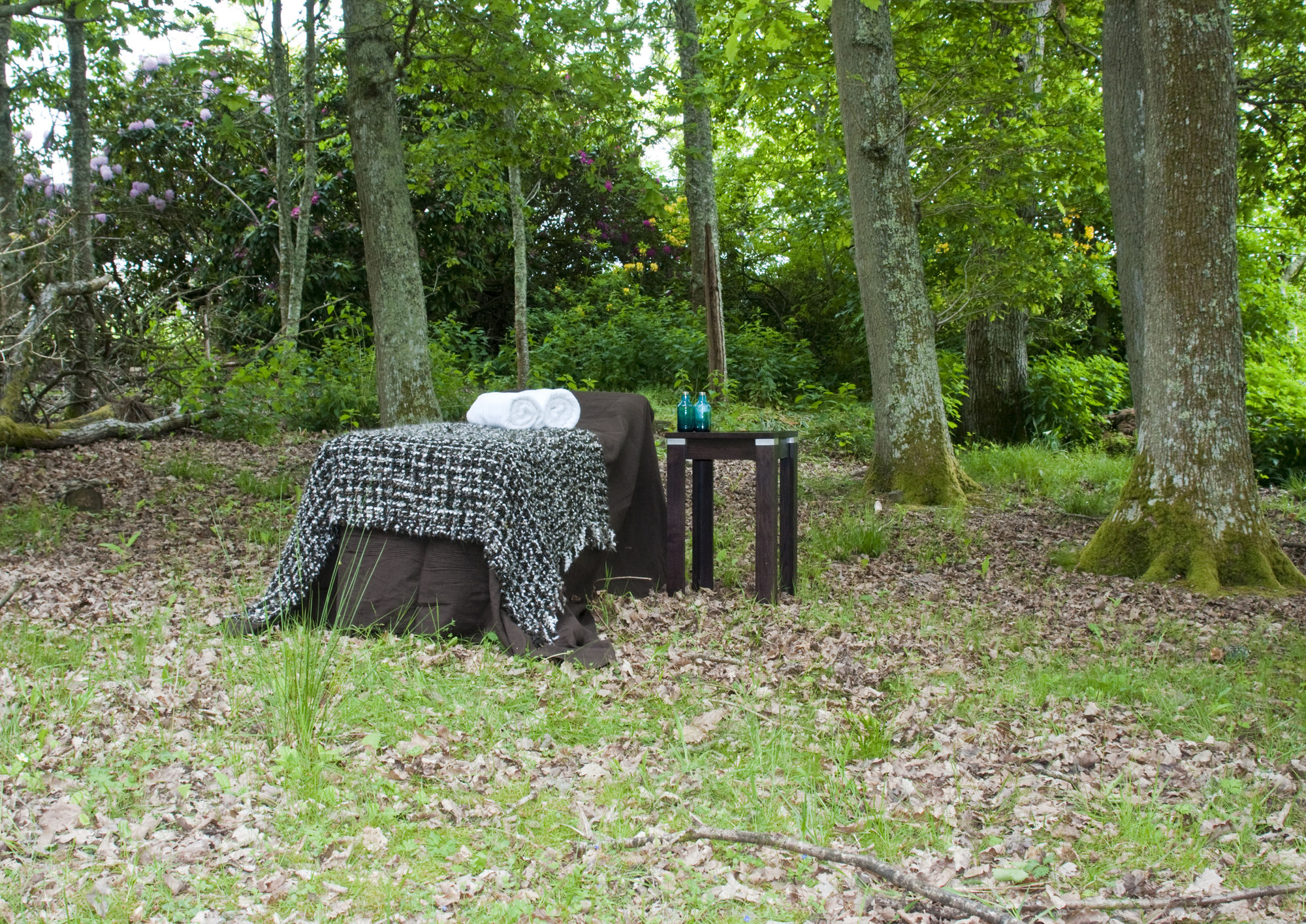 Фото Rhinefield House Hotel