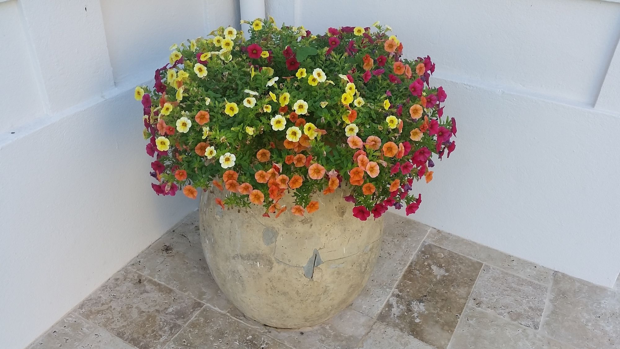 Фото B&b Villa Blanche