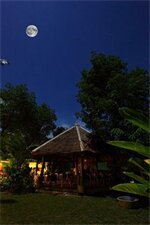 Фото Vipa Tropical Resort