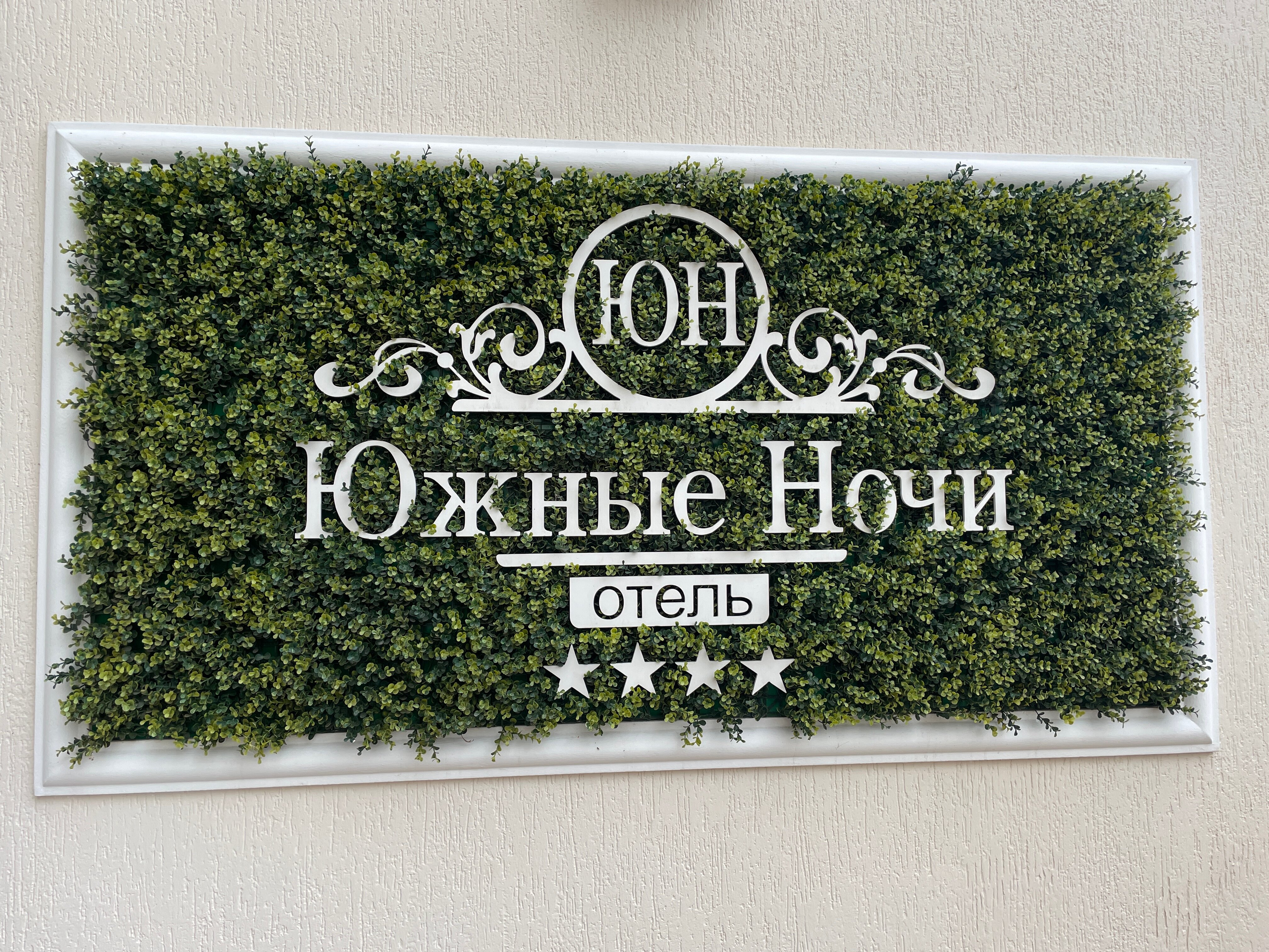 Фото Южные Ночи