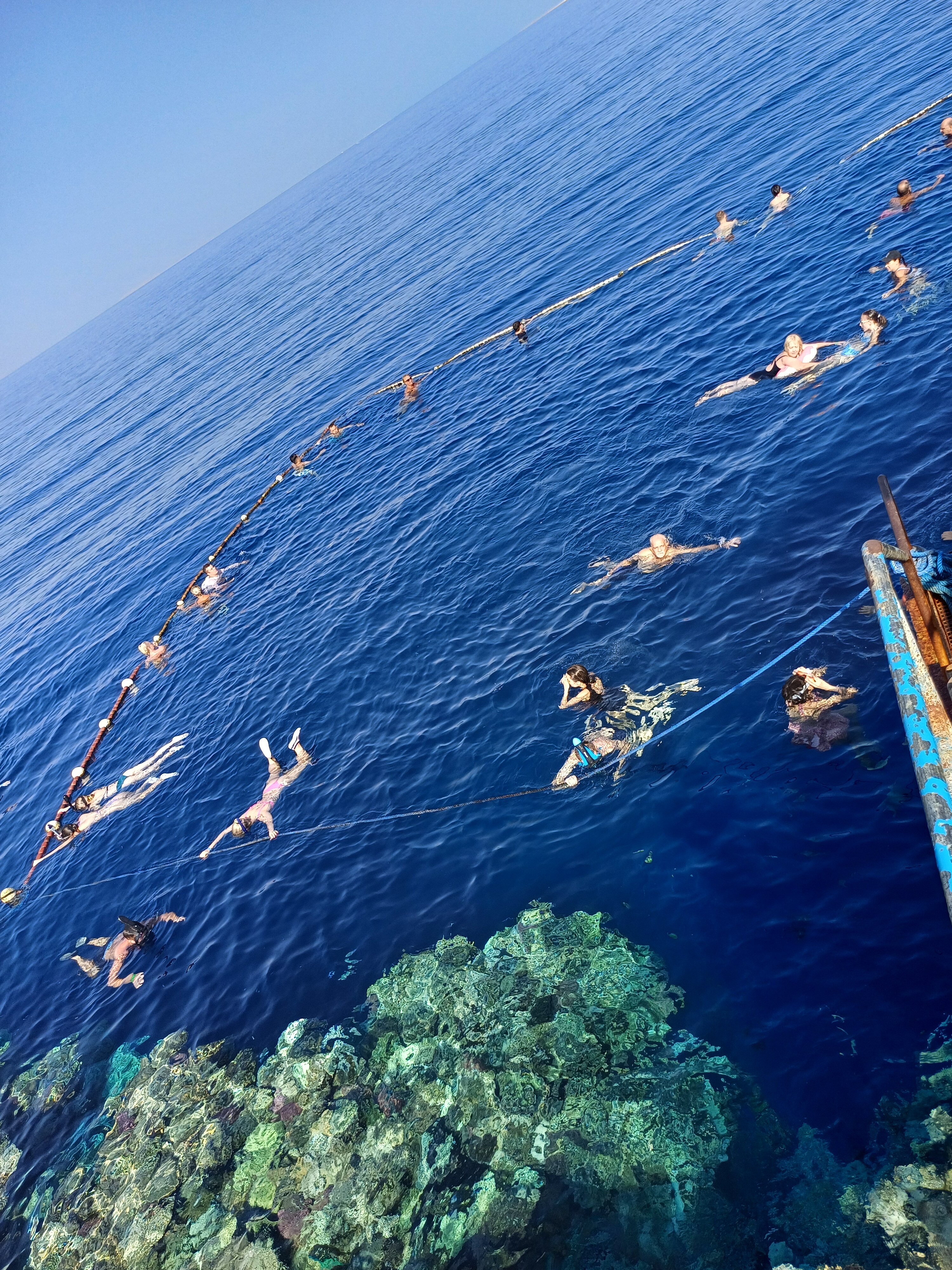 Фото Rehana Sharm Resort