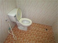 Фото Drunken Duck Guesthouse