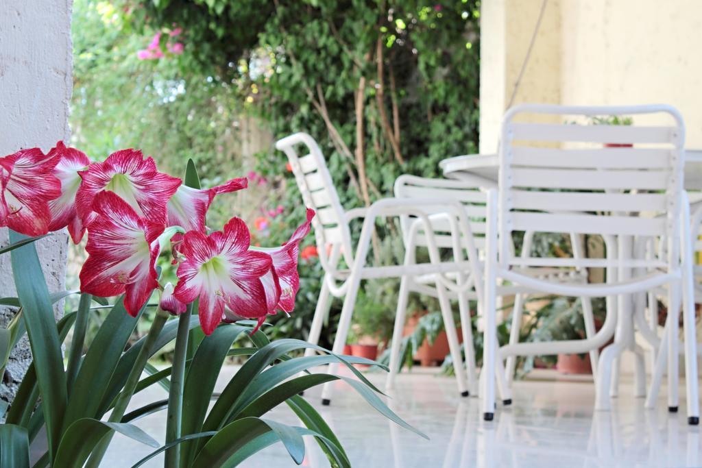 Фото Paradise Departamentos