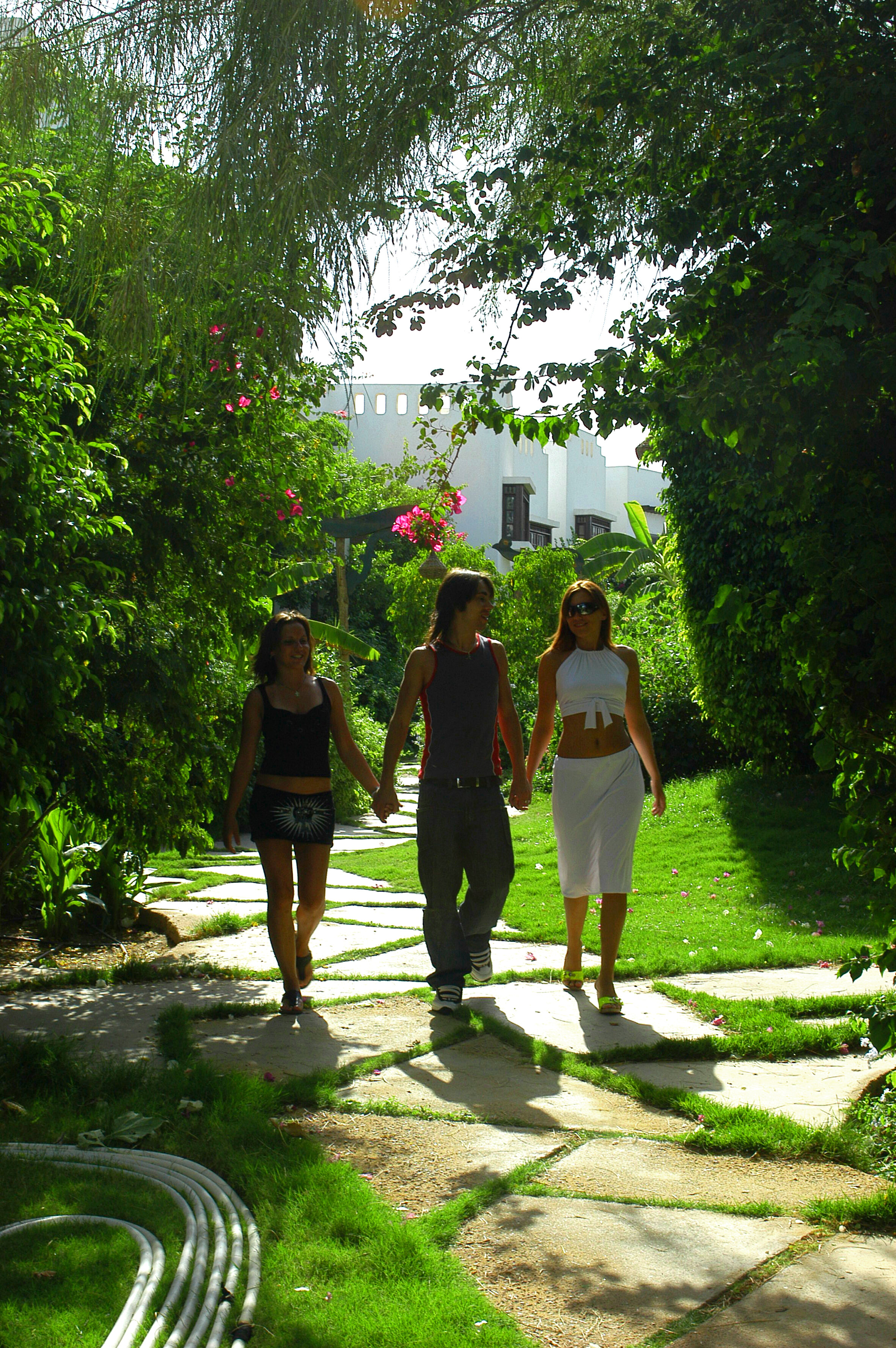 Фото Delta Sharm