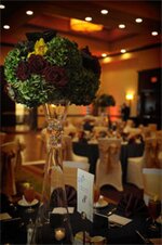 Фото Courtyard by Marriott Dallas Allen at Allen Event Center